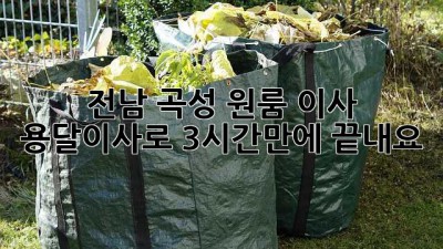 전남 곡성 원룸 이사? 용달이사로 3시간만에 끝내요!
